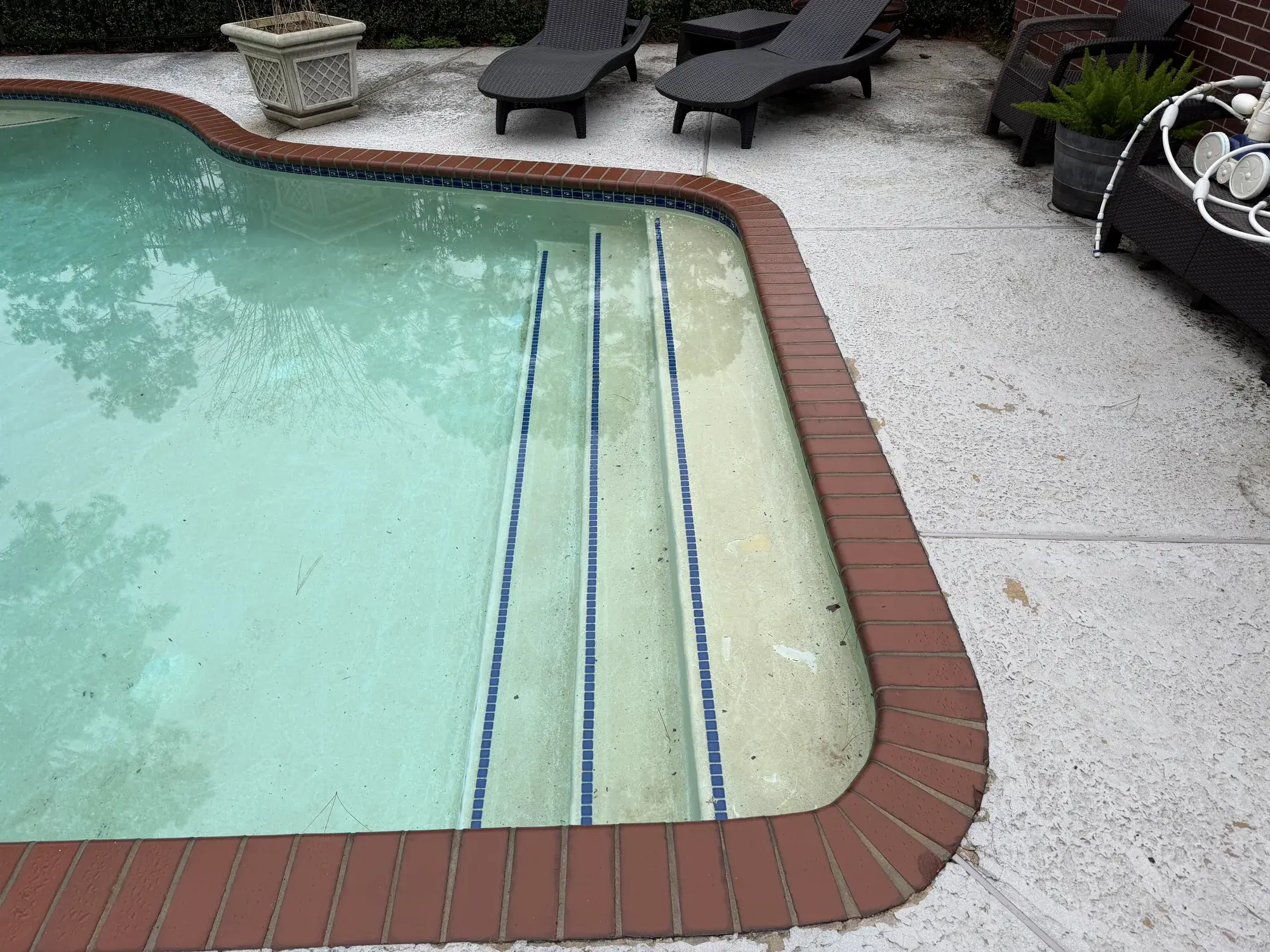 Custom in-ground swimming pool with bench seating and clean coping, designed and built in the Houston area