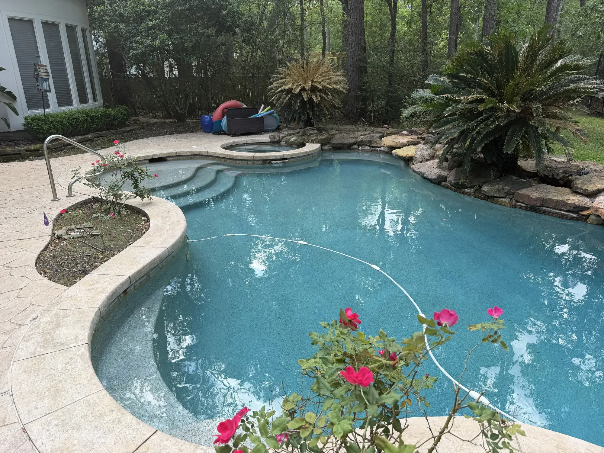 Backyard pool portfolio shot featuring a freeform shape with raised water feature wall